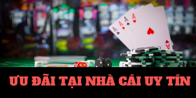 nhà cái uy tín vip migliori casino 🎰 online aams